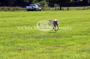 1771329939_1771329939_dunster-country-fair-179
