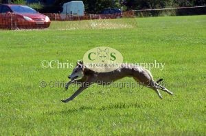 1771329941_1771329941_dunster-country-fair-180