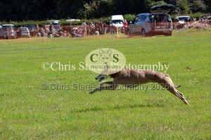 1771329942_1771329942_dunster-country-fair-181