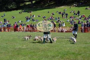 1771329943_1771329943_dunster-country-fair-182