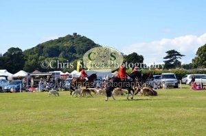 1771329948_1771329948_dunster-country-fair-186