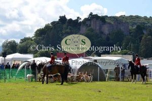 1771329953_1771329953_dunster-country-fair-190