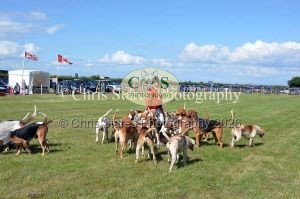 1771329961_1771329961_dunster-country-fair-196