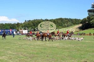 1771329972_1771329972_dunster-country-fair-204
