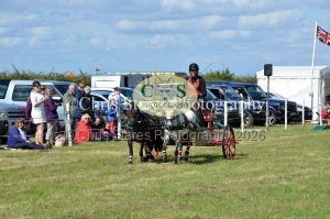 1771329973_1771329973_dunster-country-fair-205