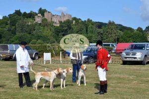 1771331115_1771331115_dunster-c-fair002