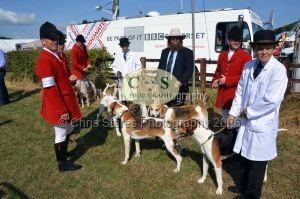 1771331119_1771331119_dunster-c-fair005