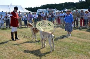 1771331126_1771331126_dunster-c-fair010