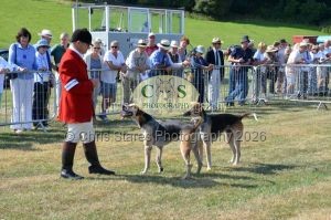 1771331127_1771331127_dunster-c-fair011