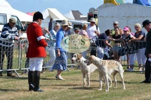 1771331128_1771331128_dunster-c-fair012