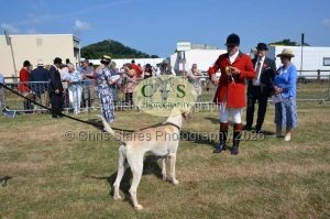 1771331141_1771331141_dunster-c-fair022