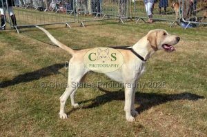 1771331143_1771331143_dunster-c-fair023