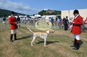 1771331144_1771331144_dunster-c-fair024