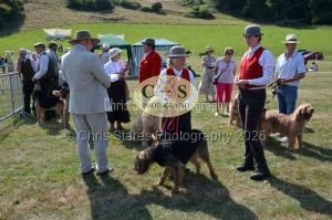 1771331149_1771331149_dunster-c-fair028