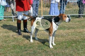 1771331155_1771331155_dunster-c-fair033