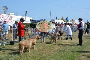 1771331158_1771331158_dunster-c-fair035