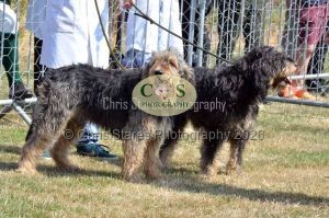 1771331161_1771331161_dunster-c-fair037