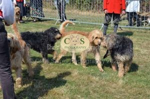 1771331162_1771331162_dunster-c-fair038