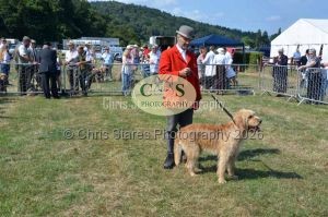 1771331163_1771331163_dunster-c-fair039