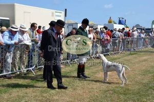 1771331168_1771331168_dunster-c-fair043