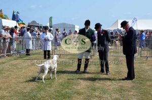 1771331169_1771331169_dunster-c-fair044