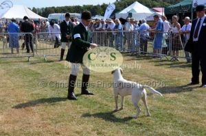 1771331171_1771331171_dunster-c-fair045