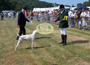 1771331175_1771331175_dunster-c-fair048