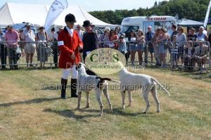 1771331176_1771331176_dunster-c-fair049