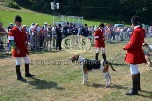 1771331178_1771331178_dunster-c-fair051