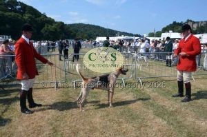 1771331183_1771331183_dunster-c-fair055