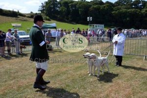 1771331185_1771331185_dunster-c-fair056