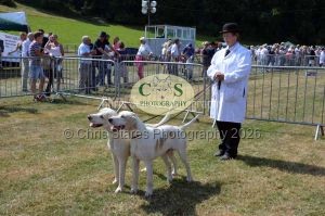 1771331186_1771331186_dunster-c-fair057