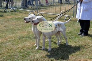 1771331188_1771331188_dunster-c-fair058