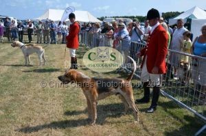 1771331189_1771331189_dunster-c-fair059