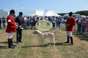 1771331194_1771331194_dunster-c-fair063