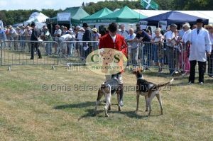 1771331197_1771331197_dunster-c-fair065