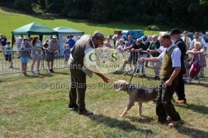 1771331198_1771331198_dunster-c-fair066