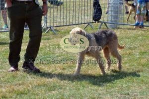 1771331202_1771331202_dunster-c-fair069