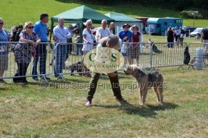 1771331204_1771331204_dunster-c-fair070