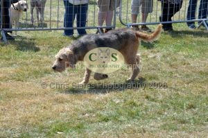 1771331205_1771331205_dunster-c-fair071