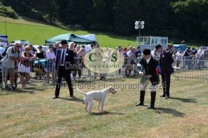 1771331214_1771331214_dunster-c-fair078