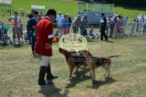 1771331215_1771331215_dunster-c-fair079