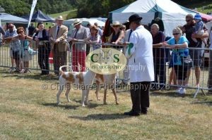 1771331219_1771331219_dunster-c-fair082