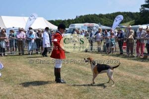 1771331221_1771331221_dunster-c-fair083