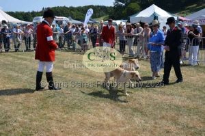 1771331223_1771331223_dunster-c-fair085