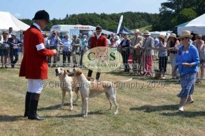 1771331225_1771331225_dunster-c-fair086