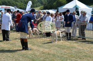 1771331227_1771331227_dunster-c-fair088