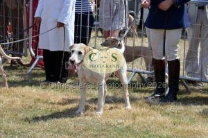 1771331228_1771331228_dunster-c-fair089