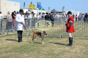 1771331235_1771331235_dunster-c-fair094