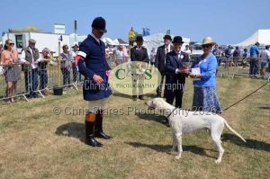 1771331242_1771331242_dunster-c-fair099